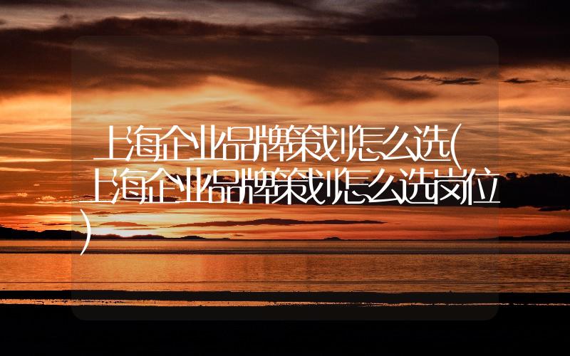 上海企業(yè)品牌策劃怎么選(上海企業(yè)品牌策劃怎么選崗位)