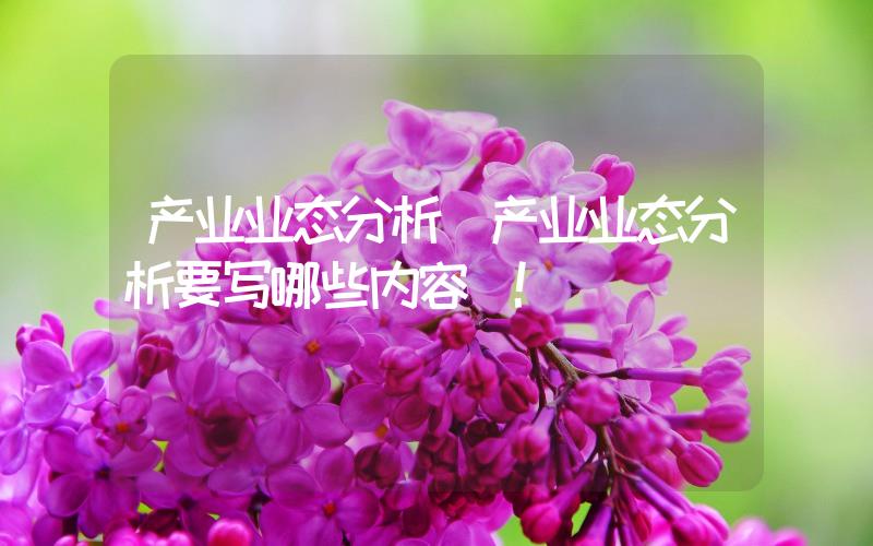 產(chǎn)業(yè)業(yè)態(tài)分析(產(chǎn)業(yè)業(yè)態(tài)分析要寫哪些內(nèi)容)