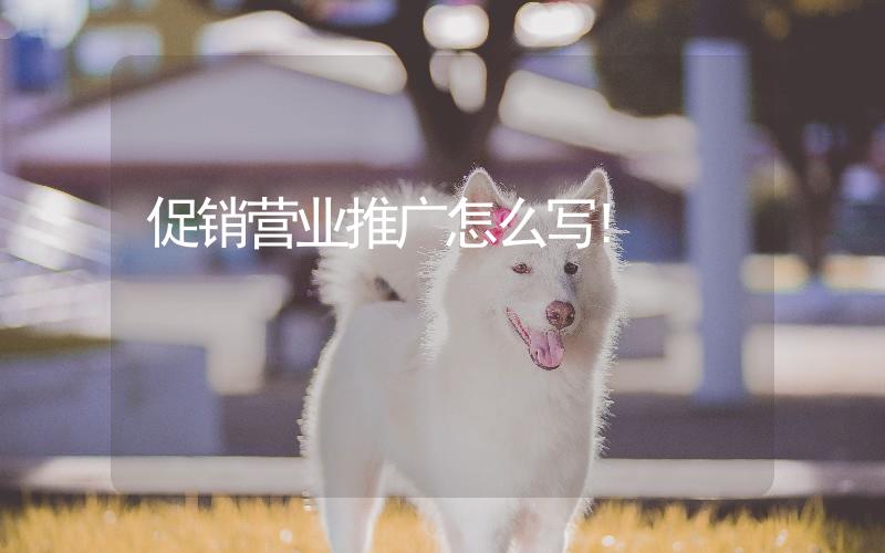 促銷營業(yè)推廣怎么寫