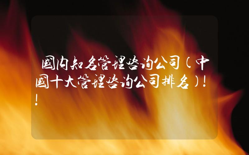 國(guó)內(nèi)知名管理咨詢公司(中國(guó)十大管理咨詢公司排名)