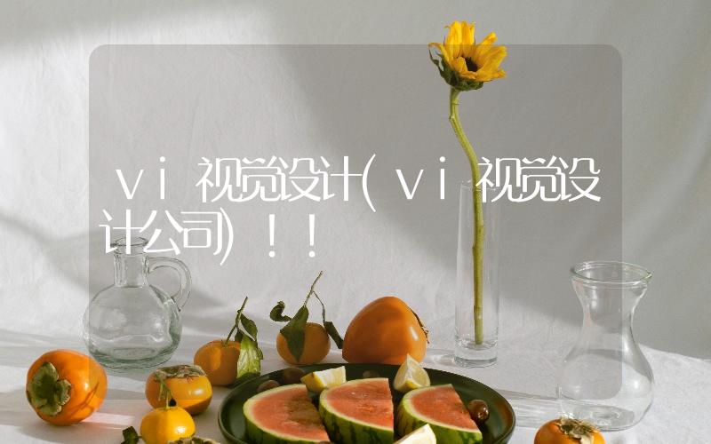 vi視覺(jué)設(shè)計(jì)(vi視覺(jué)設(shè)計(jì)公司)