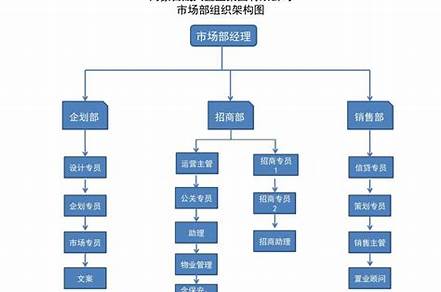 策劃部門主要負(fù)責(zé)什么（公司策劃部門主要負(fù)責(zé)什么）