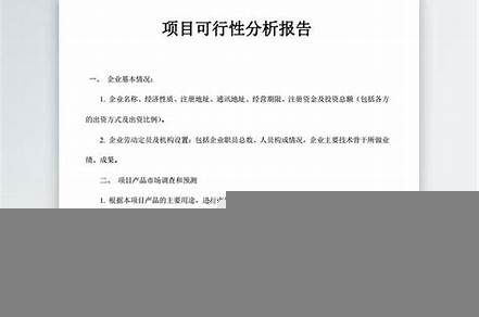 項目計劃書可行性報告（可行性報告收費一般多少錢）