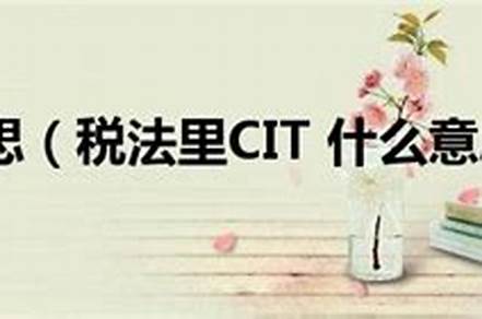 CI是什么品牌（cibio2是什么牌子）