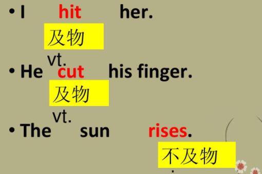 vi導(dǎo)入什么意思（vi導(dǎo)示）