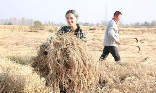 優(yōu)秀產(chǎn)品主圖案例（產(chǎn)品主圖背景圖片素材）