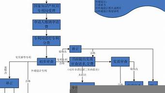 中藥配方專利申請流程及費用（中藥配方專利申請流程及費用表）