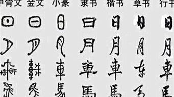 一共有多少字體（字體有多少種）