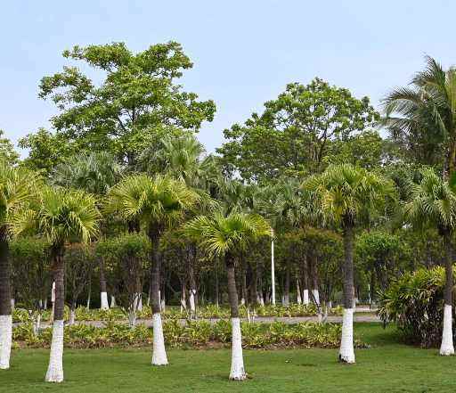 南沙濱海公園景觀設計（南沙濱海公園景觀設計理念）