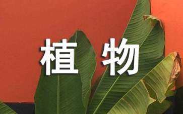 植物景觀設(shè)計(jì)平面圖配色