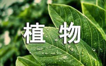 植物景觀設(shè)計手法