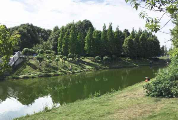 科技公園景觀設(shè)計(jì)（科技公園景觀設(shè)計(jì)理念）