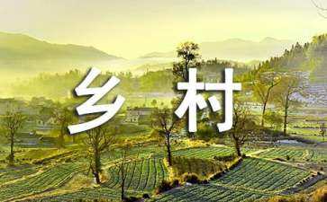 鄉(xiāng)村街道景觀設(shè)計(jì)（鄉(xiāng)村街道景觀設(shè)計(jì)PPT）