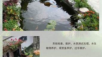 南京企業(yè)景觀設(shè)計(jì)養(yǎng)護(hù)（南京企業(yè)景觀設(shè)計(jì)養(yǎng)護(hù)招標(biāo)）