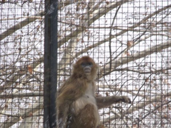 動(dòng)物園入口景觀設(shè)計(jì)（動(dòng)物園入口景觀設(shè)計(jì)方案）