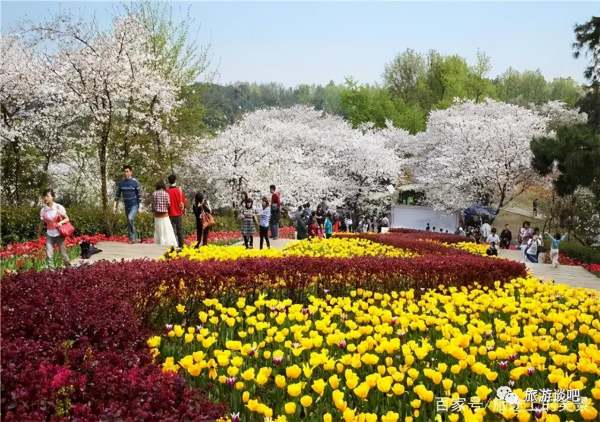 瀏陽河婚慶公園景觀設(shè)計（瀏陽河婚慶公園景觀設(shè)計招標(biāo)）