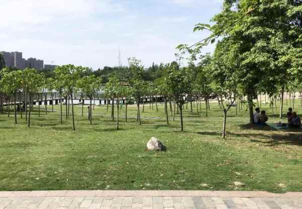 科技公園景觀設(shè)計(jì)（科技公園景觀設(shè)計(jì)理念）