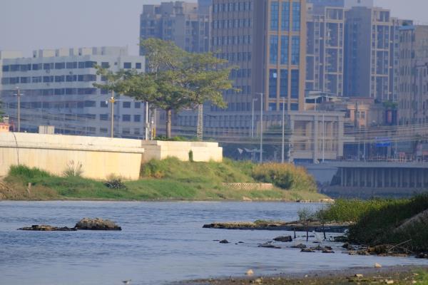 東莞景觀設(shè)計(jì)（東莞景觀設(shè)計(jì)師招聘）