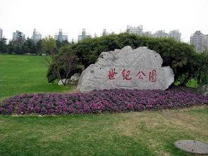 泗涇公園景觀設(shè)計（泗涇公園景觀設(shè)計招標(biāo)）