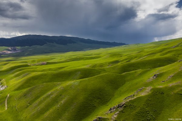 伊犁小區(qū)景觀設(shè)計（伊犁小區(qū)景觀設(shè)計效果圖）