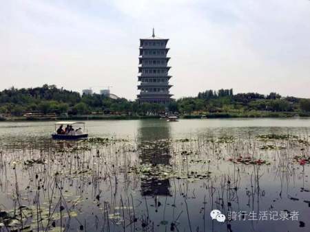 沿湖景觀設計（沿湖景觀設計方案）