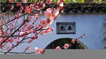 梅花在園林里景觀設(shè)計(jì)（梅花園林綠化圖片）