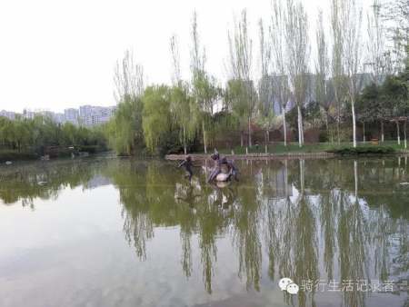 沿湖景觀設計（沿湖景觀設計方案）