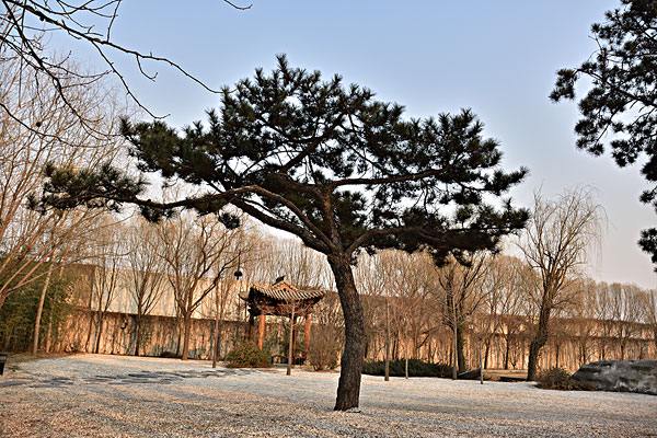 徐州黃山景觀設計（徐州黃山公園規(guī)劃）