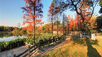 杭州公園景觀設(shè)計風(fēng)格（杭州公園景觀設(shè)計風(fēng)格分析）