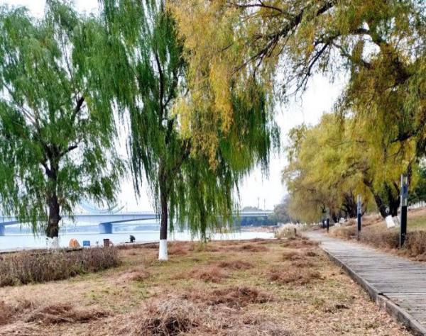 長安公園景觀設(shè)計（長安公園景觀設(shè)計圖）