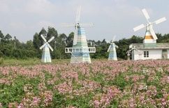 鐵路公園景觀設(shè)計（鐵路公園景觀設(shè)計方案）