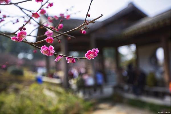 無錫私家花園有哪些（無錫私家花園有哪些地方）