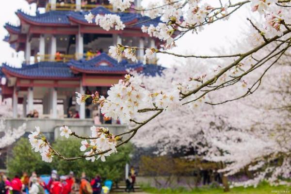 無錫私家花園有哪些（無錫私家花園有哪些地方）