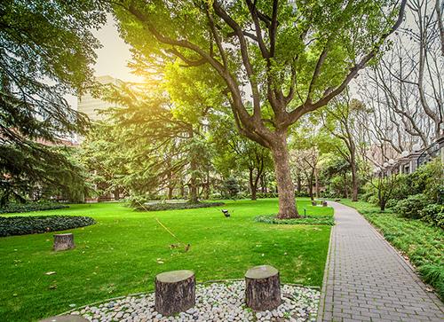 公園景觀設(shè)計(jì)案例分析（公園景觀設(shè)計(jì)案例分析怎么寫(xiě)）_1