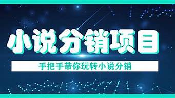 小說(shuō)分銷賺錢全套教程（小說(shuō)分銷賺錢全套教程視頻）