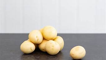 potatochat最新版（potatochat最新版本）