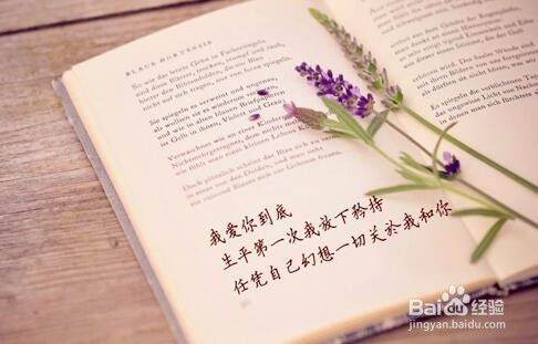 新人去七貓還是番茄（番茄小說作者真實收入曝光）