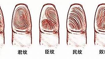 一抖窮二斗富怎么說（一抖窮二斗富怎么說的）