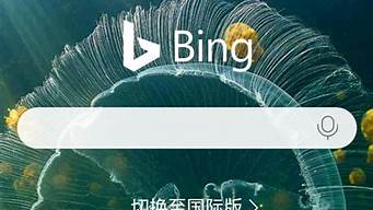 必應(yīng)國(guó)際版搜索入口（必應(yīng)搜索國(guó)際版怎么用）