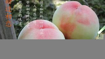 水蜜桃視頻在線觀看日韓國產(chǎn)