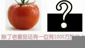 有1000萬粉絲有什么用（有1000萬粉絲是什么概念）