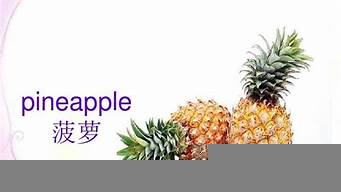 菠蘿英語怎么讀（菠蘿英語怎么讀pineapple）