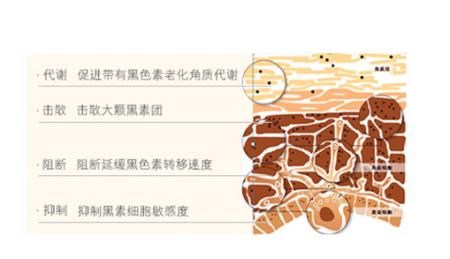 最有效祛斑霜排行榜（最有效祛斑霜排行榜品牌）