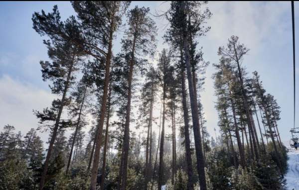 瓦屋山景觀設計圖紙（瓦屋山景觀設計圖紙圖片）