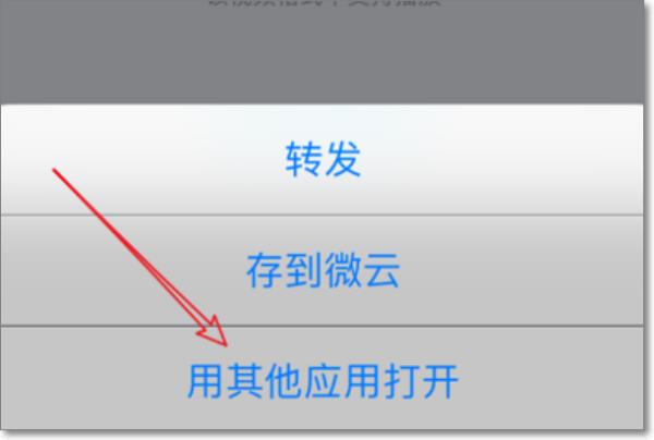 蘋果手機文件里的視頻怎么播放（蘋果手機文件里的視頻怎么播放不了）