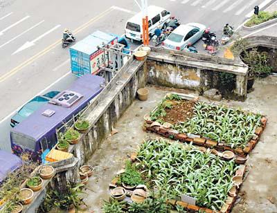 沉浸式花園景觀設(shè)計案例（沉浸式花園景觀設(shè)計案例圖片）