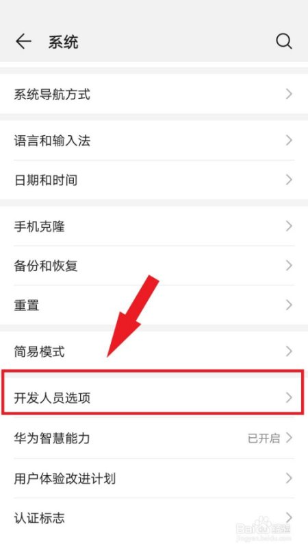 華為開發(fā)人員選項怎么打開（華為開發(fā)者選項在哪）