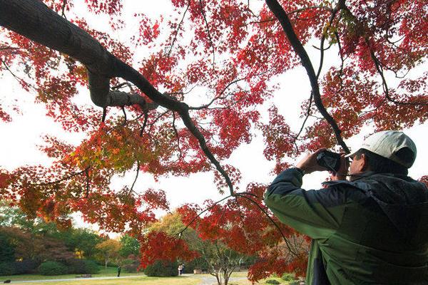 奉賢區(qū)景觀設計圖片（奉賢區(qū)景觀設計圖片公司）