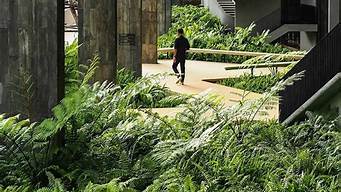 漳浦縣雨林庭院景觀設(shè)計(jì)（漳浦縣雨林庭院景觀設(shè)計(jì)招標(biāo)）