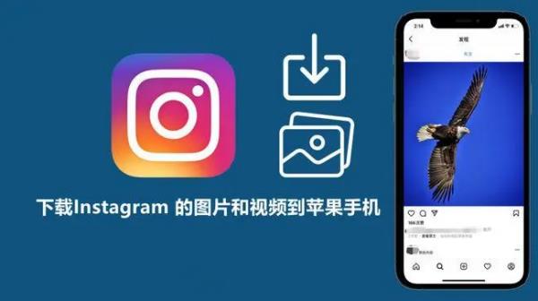 應(yīng)用app排行榜